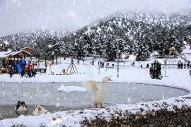 Bağbaşı Yaylası’nda kartpostallık kış manzaraları