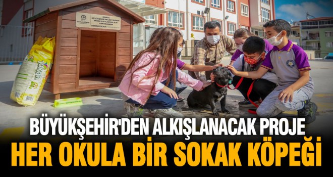 Büyükşehir'den alkışlanacak proje: Her okula bir sokak köpeği
