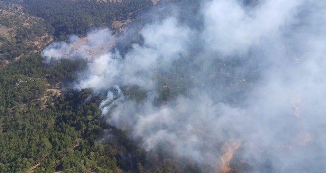 Honaz’da 6 ayrı noktadan ormanı yaktılar