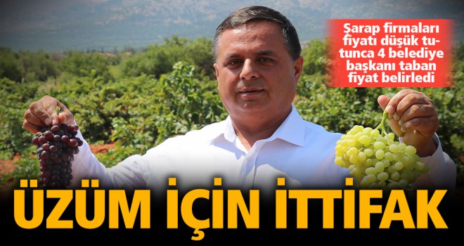 Türkiye'nin şaraplık üzüm deposunda, fiyat artışı için güç birliği